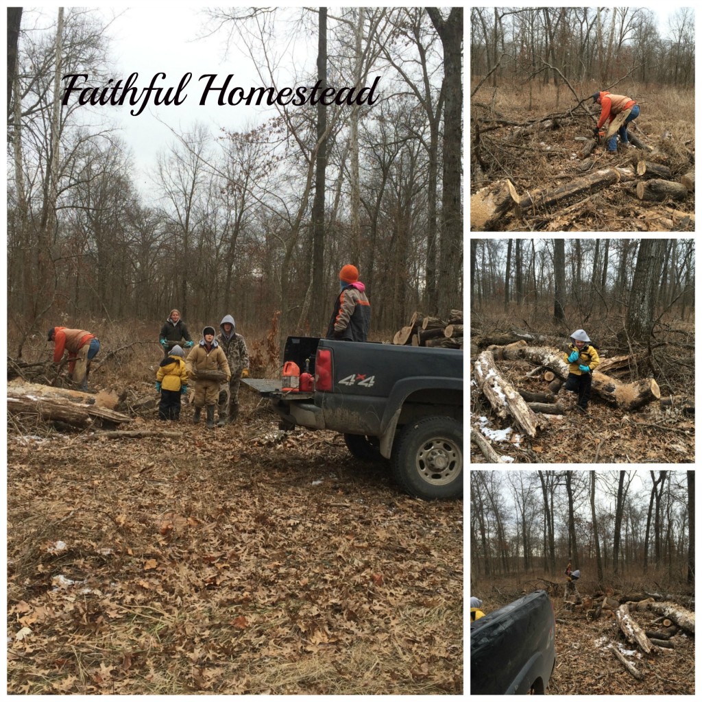 Cutting Wood Faithful Homestead