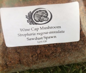 wine cap package