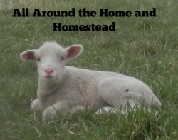 homeandhomestead