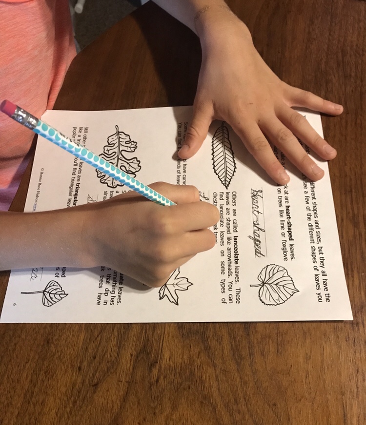Learning About Science Collection Cursive ~ Review | Faithful Homestead